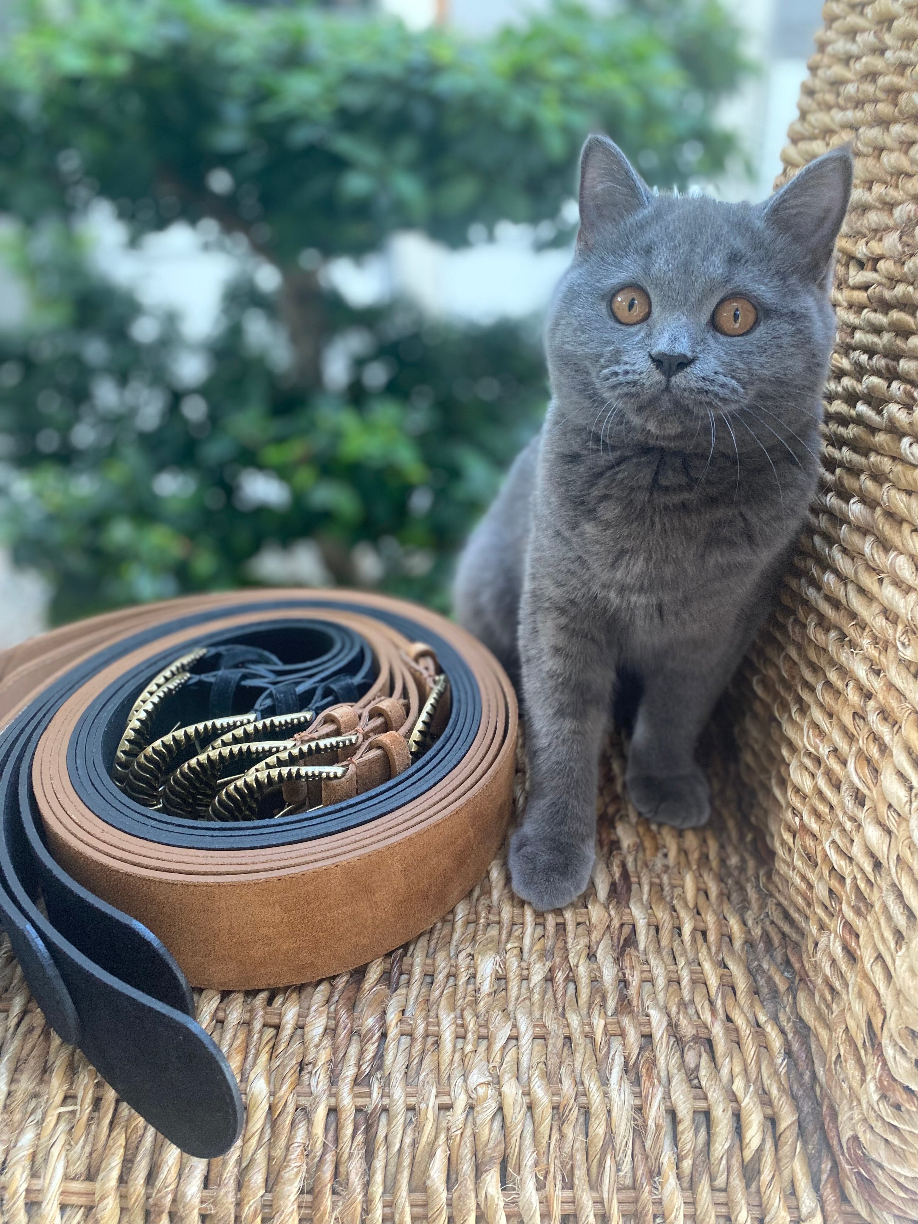 Ceinture cuir Italien